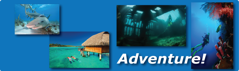adventure_800