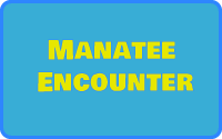 Manatee Dive